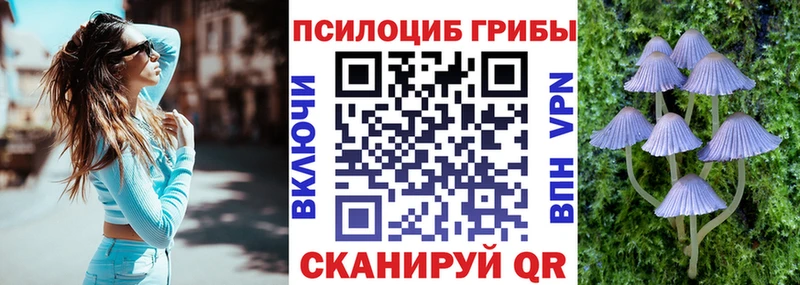 Галлюциногенные грибы мицелий  наркотики  Константиновск 